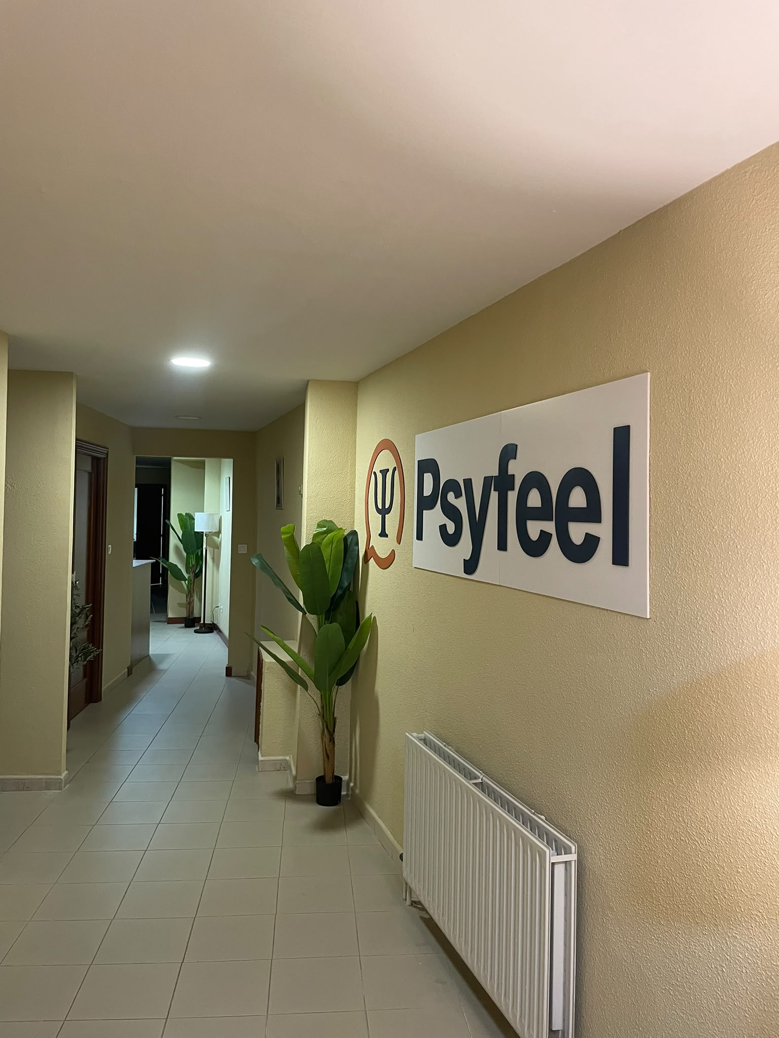 despacho psyfeel centro 